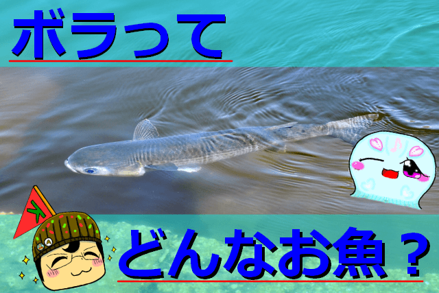 Thumbnail of post image 123